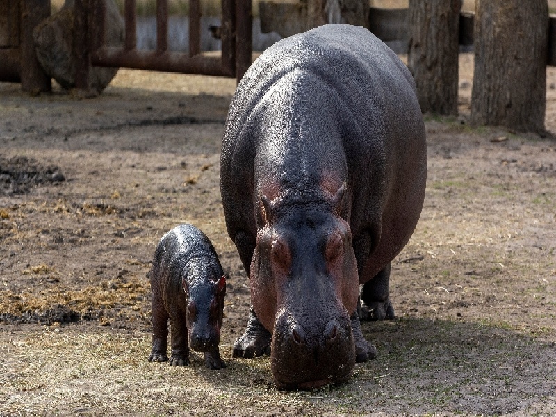 刘女士成功案例